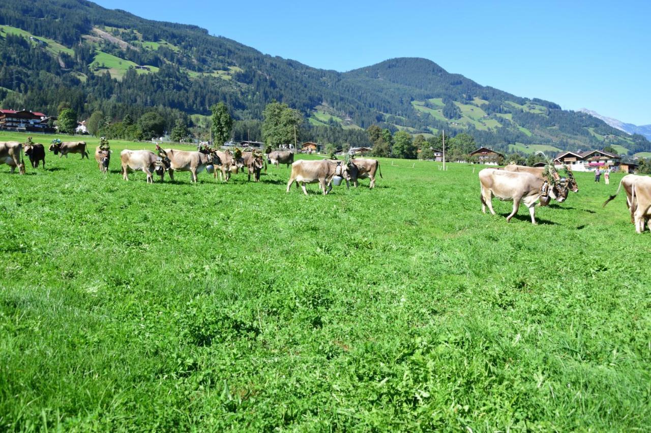 Ferienhaus Oberhuben Fuegenberg Dış mekan fotoğraf
