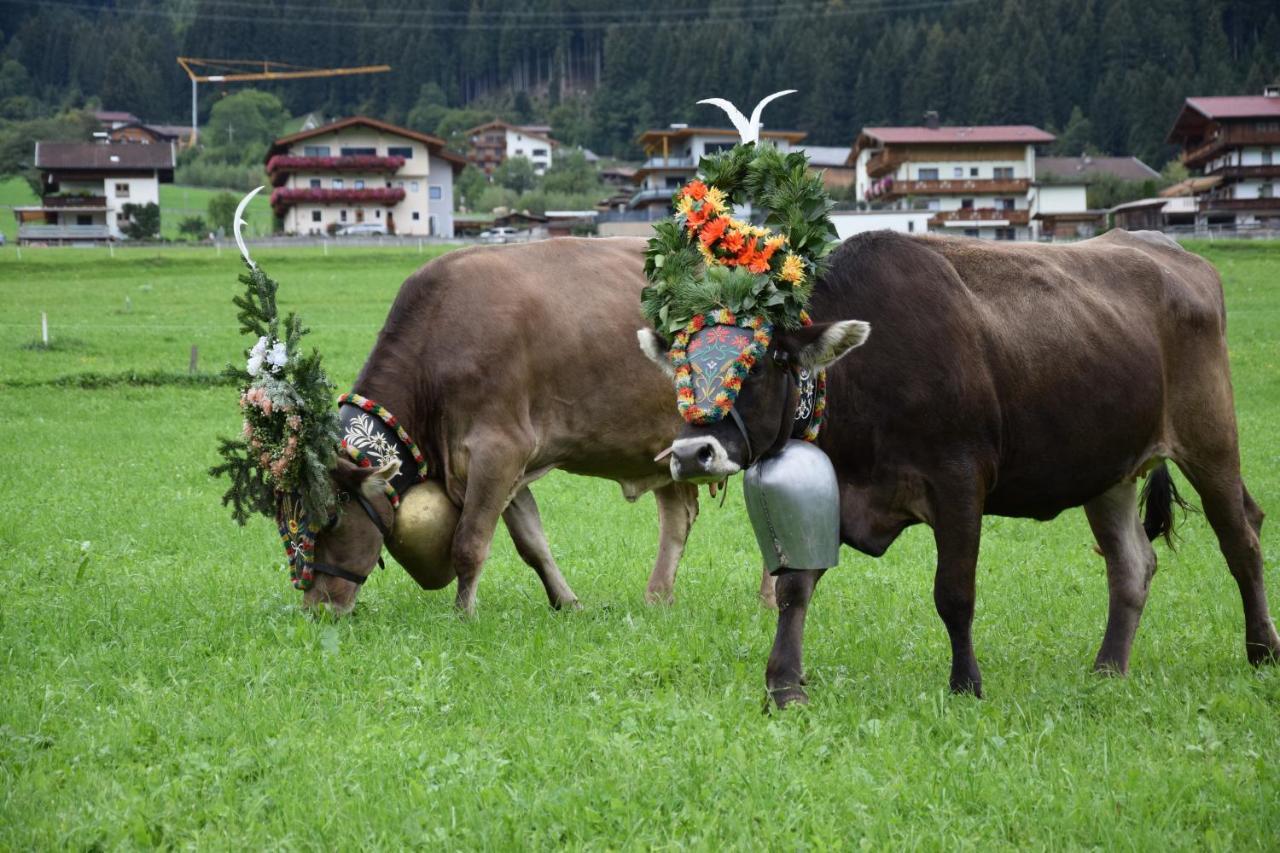 Ferienhaus Oberhuben Fuegenberg Dış mekan fotoğraf